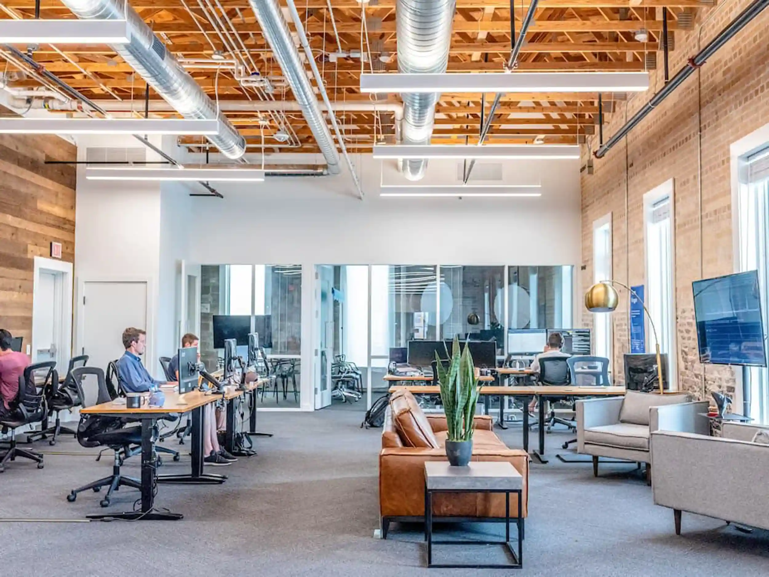 Employees working in an office that values wellbeing