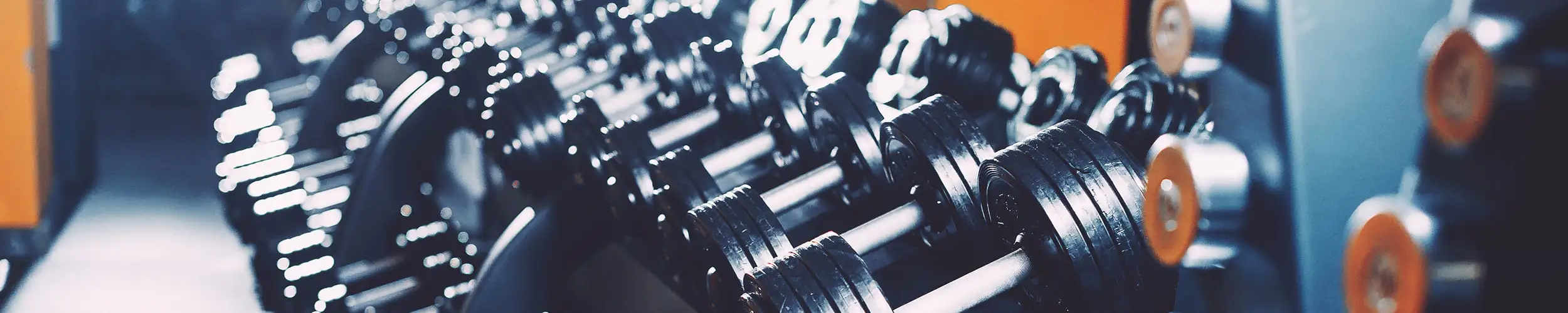 Sets of barbells on a rack